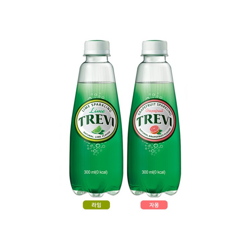 롯데칠성 음료 트레비 탄산수 300ml, 40개