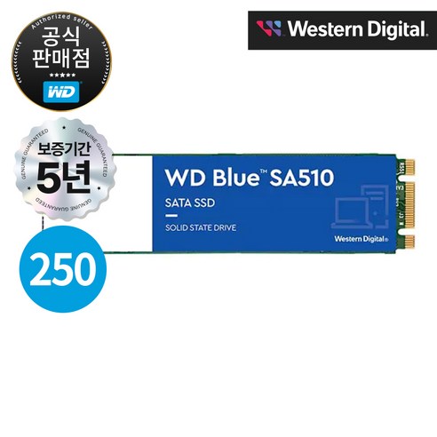 WD Blue SA510 SATA SSD, 250GB, WDS250G3B0B