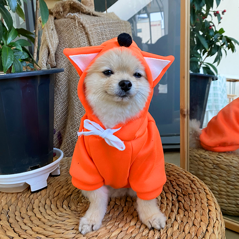 귀여운 여우후드티 강아지옷 등길이, l