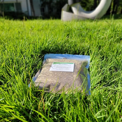 튼튼하고 내구성이 뛰어난 양잔디혼합종자로 아름다운 잔디밭을 만드세요