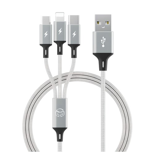 디지지 3in1 스마트폰 고속 충전 멀티케이블 스카이 메타, 120cm, 메탈실버, 1개