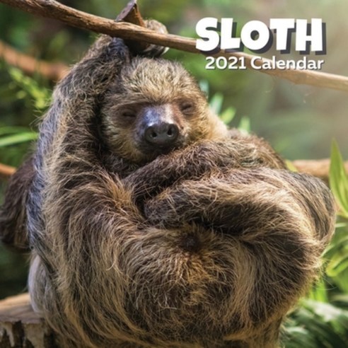 (영문도서) Sloth Calendar 2021 Paperback, Independently Published, English, 9798693315334