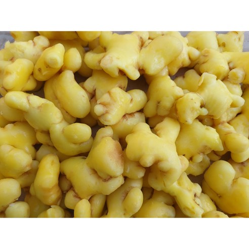 국내산 특품 새척 깐생강 5kg (1개) 청원농장 국내산 특품 새척 깐생강 5kg (1개) 청원농장