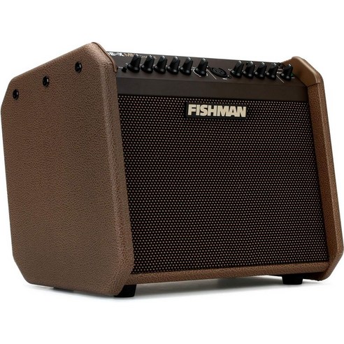 음향기기 Fishman Loudbox 미니 충전 60와트 1x6.5인치 배터리 구동 어쿠스틱 콤보 앰프