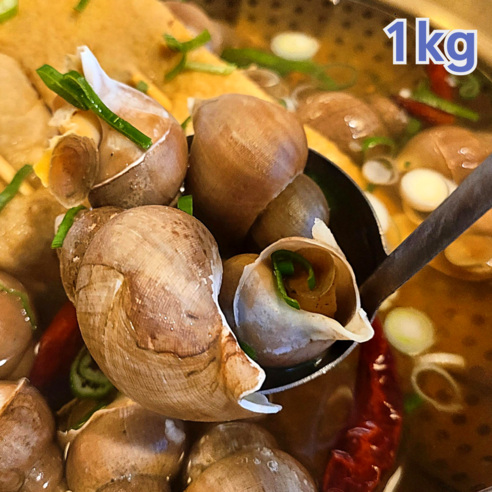 산들상회 자연산 생물 쫄깃한 동해안 활 백고동 백골뱅이 1kg 산지직송, 1박스, 대 1kg (kg당 12-18미내외)