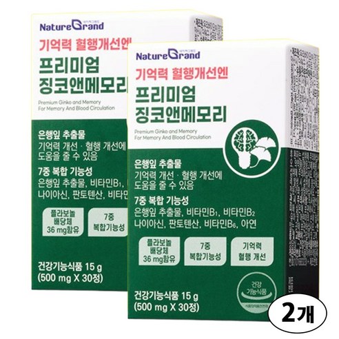 네이처그랜드 프리미엄 징코 메모리 1개월분 기억력개선 은행잎추출물
