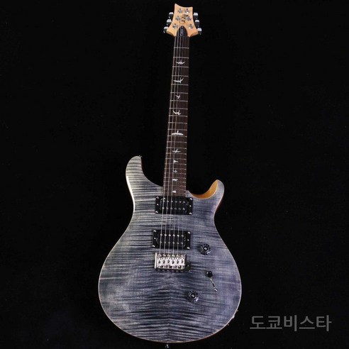 PRS SE Custom 24 차콜: 영감을 불어넣는 음악적 동반자