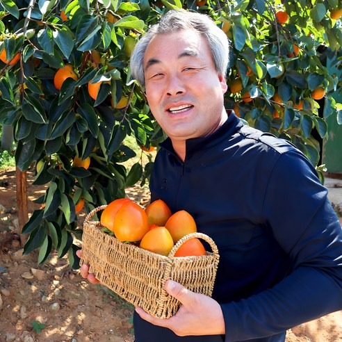 과일꾼 김재명 농부 대봉감 홍시 대봉시 곶감용 산지직송 5kg 10kg, 대봉감 10kg 4..., 1박스