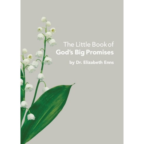 The Little Book of God''s Big Promises Paperback, Christians for Messiah Ministries
