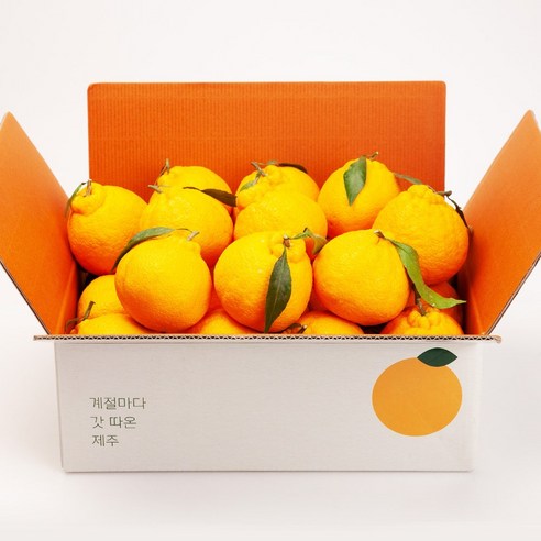 깨비농원 제주 한라봉, 4.5kg(중과,16-20과), 1개