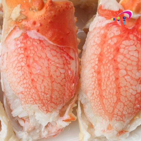 최상의 맛과 가치를 제공하는 새우몰 대게 스노우크랩