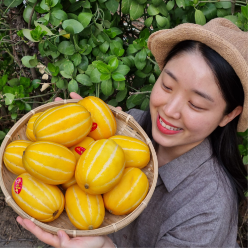 성주 꿀 참외 산지직송 못난이 가정용 선물용 제철 성주참외 유기농참외 참외씨앗 참외못난이, (정품) 참외 소과, 1박스, 1kg(6-7과)