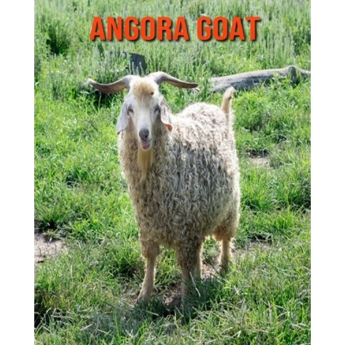 Angora Goat: Learn About Angora Goat and Enjoy Colorful Pictures Paperback, Independently Published, English, 9798557659864