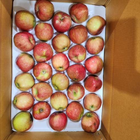 [루비등급] 새벽수확 극brix 초가성비 홍로사과, 1개, 2kg