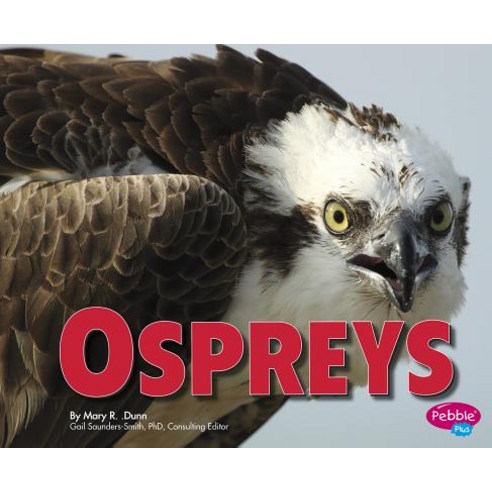 Ospreys Hardcover, Capstone Press - 가격 변동 추적 그래프 - 역대가