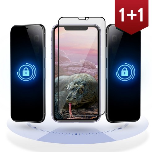 빅플랜트 (1+1) 아이폰11 2.5D 프라이버시 풀커버 강화유리 보호필름