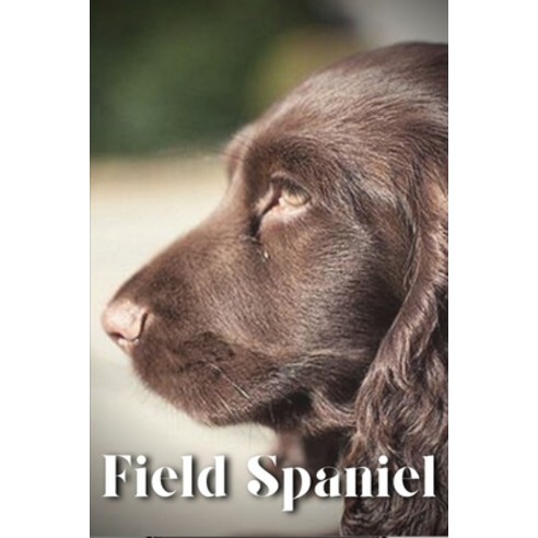 (영문도서) Field Spaniel: Dog breed overview and guide Paperback, Independently Published, English, 9798851991479