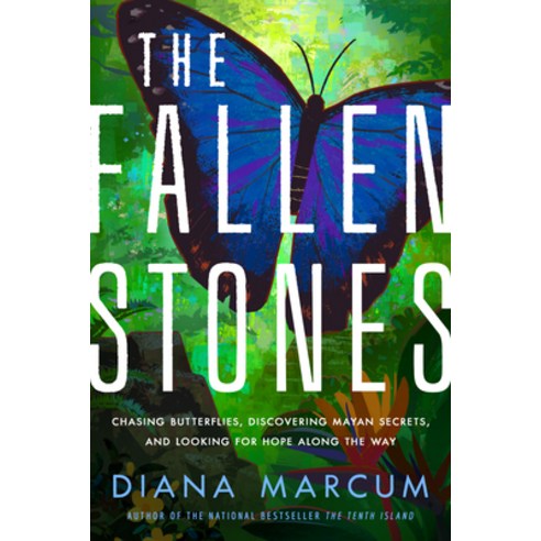 (영문도서) The Fallen Stones: Chasing Butterflies Discovering Mayan Secrets and Looking for Hope Along... Hardcover, Little a, English, 9781542022859