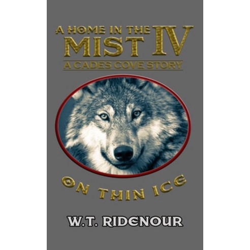 (영문도서) A Home in The Mist IV: On Thin Ice Paperback, Wtr Books, English, 9781735858760