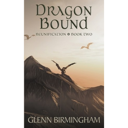 Dragon Bound Paperback, Stet Publishing, LLC, English, 9781643920283