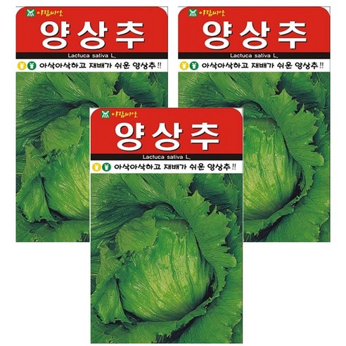양상추 씨앗 씨 종자, 3개