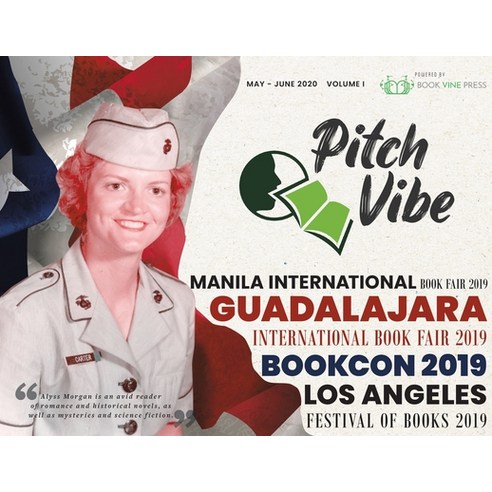 Pitch Vibe! Paperback, Book Vine Press