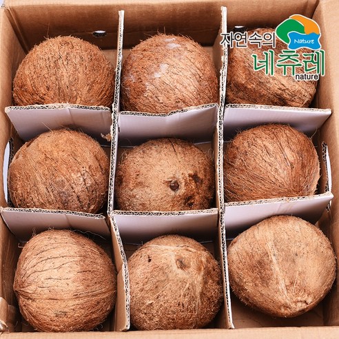 자연속의 네츄레 코코넛 9kg 1BOX, 1박스