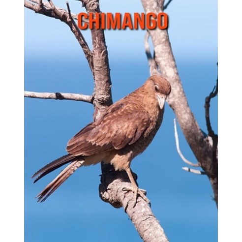 (영문도서) Chimango: Amazing Photos & Fun Facts Book About Chimango For Kids Paperback, Independently Published, English, 9798508537296