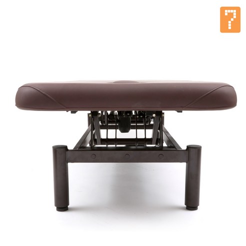 전문적인 미용 및 의료 환경을 위한 고도 기능성 전동 침대