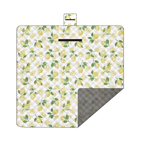 DFMWI.피크닉 매트.Picnic mat.--봄나들이 피크닉 매트 방습 매트 아웃도어 매트 휴대용 방수 피크닉 평 피크닉 인스풍, 초음파 레몬 과일 2*1.5 M