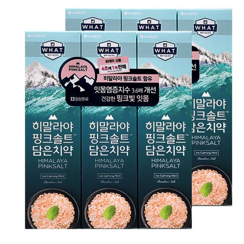 [홍스몰]LG히말라야핑크솔트담은치약100gX3개입(아이스카밍), 100g, 6개