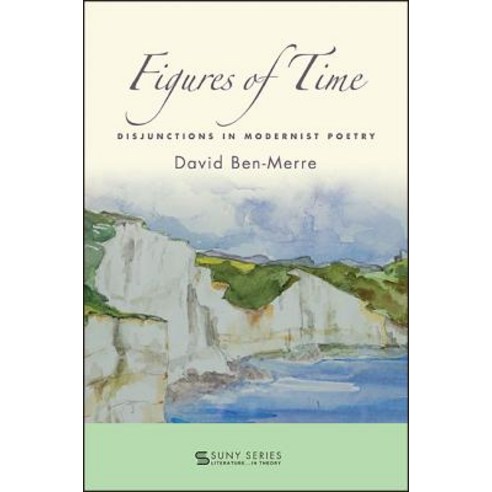Figures of Time Paperback, State University of New Yor..., English, 9781438468327