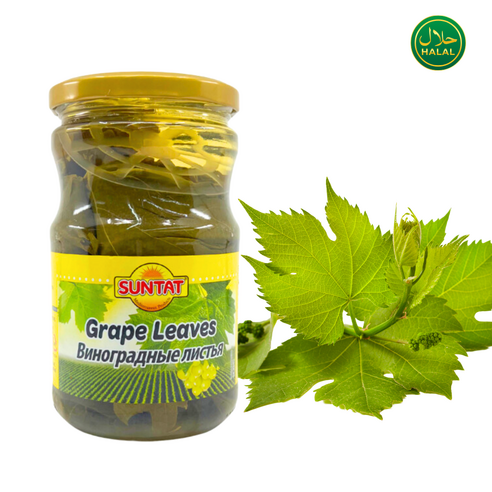 터키산 소금물에 절인 포도잎 Grape Leaves In Brine Turkiye