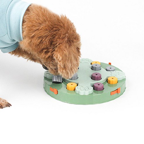 강아지 장난감 노즈워크 퍼즐 놀이 간식찾기 훈련 투웬티 블럭, 그린