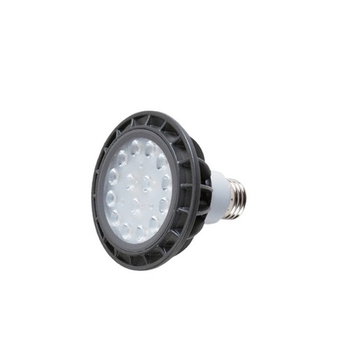 라인라이팅 LED 파30램프 15W PAR30 확산형 집중형, B_PAR30 확산형 전구색(노란빛) 20개