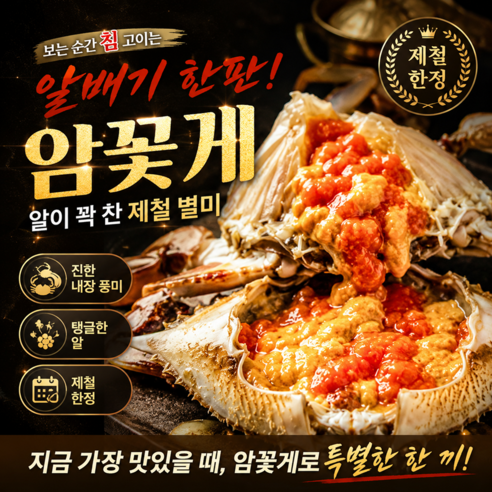 [하루단20박스]제철한정 녹찐한내장 탱글한알 한정수량 암꽃게, 1박스, 3kg(9~12미)