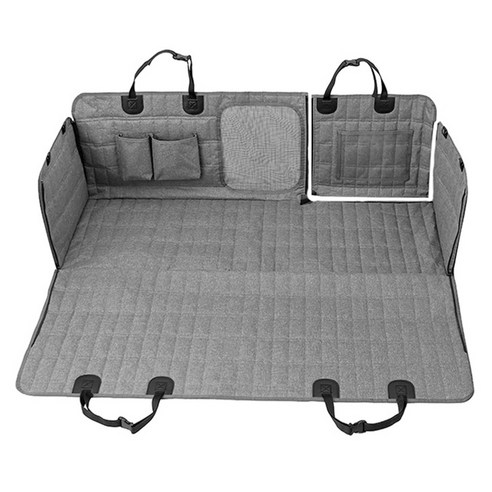 안전하고 편안한 반려동물 여행의 시작