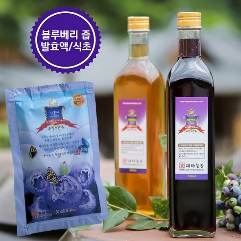 국내 유일 야생 블루베리로 만든 블루베리식초 발효액, 블루베리식초500ml(2병), 2개