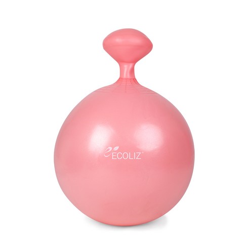 에코리즈 밸런스 짐볼