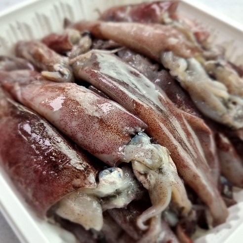 총알 미니 한치 1kg 40~50미, 총알미니한치(1kg), 1개