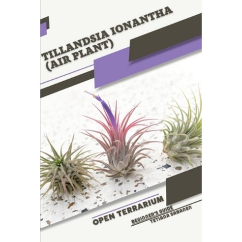 (영문도서) Tillandsia ionantha (Air Plant): Open terrarium Beginner''s Guide Paperback, Independently Published, English, 9798856470559