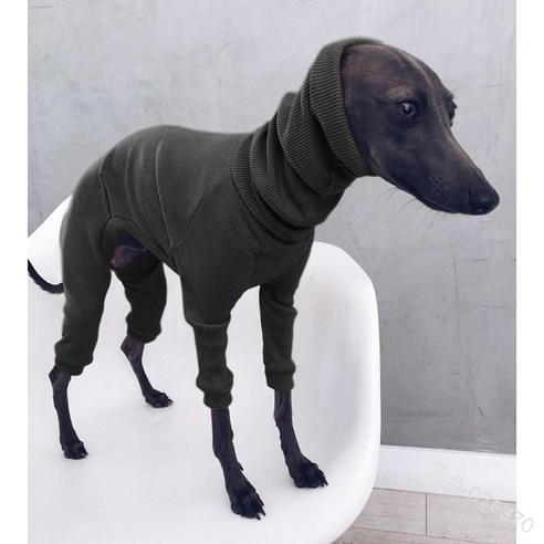 아이쥐패딩 이탈리안그레이하운드 등지퍼 이지 웨어 입기편한 겨울 터틀넥 Whippet Onesies 이탈리아 그레, 04 YELLOW_06 3XL