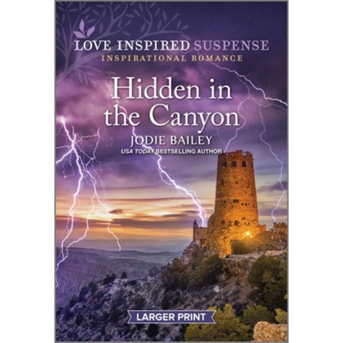 (영문도서) Hidden in the Canyon Mass Market Paperbound, Love Inspired Suspense Larg..., English, 9781335599513