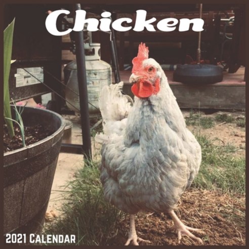 Chicken 2021 Calendar: Official Farm Animals Wall Calendar 2021 Paperback, Independently Published, English, 9798583163687