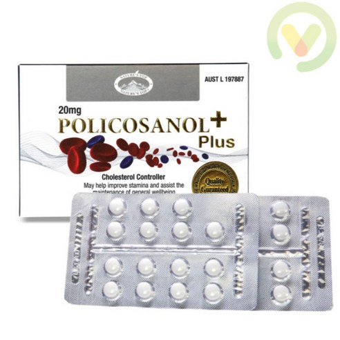 폴리코사놀(콜레스테롤 지구력 체력 증진) 20mg POLICOSANOL 20mg, 1개, 기본