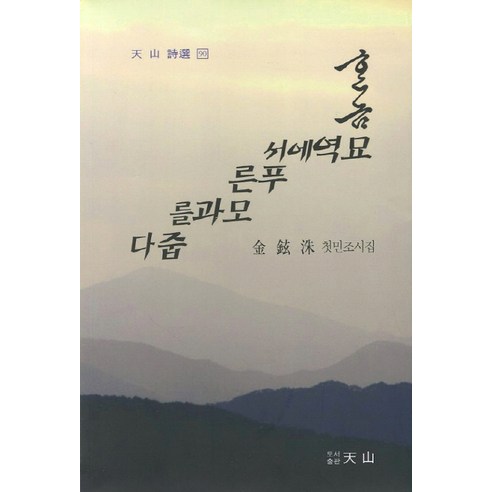 金賢秀 從墓園撿起一棵綠樹 金賢秀第一本民謠詩集 天山 9788985747424