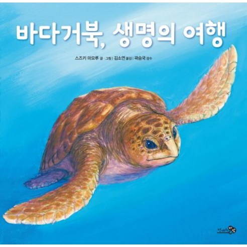 바다거북 생명의 여행, 천개의바람