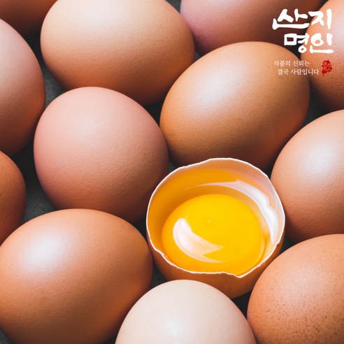 [산지명인] 초신선 생계란 특란 달걀 날계란, 20구, 1개