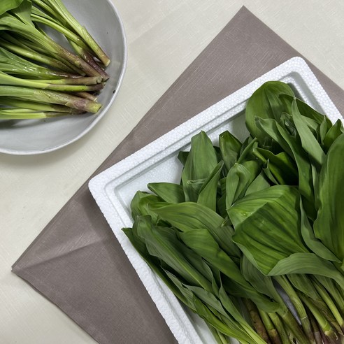 국내산 홍천 산마늘 생 명이나물, 1개, 2kg