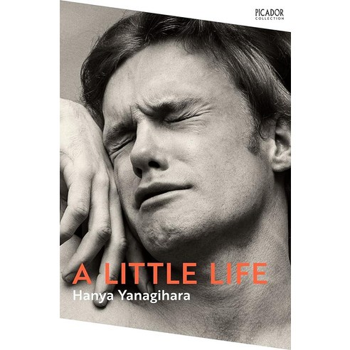 A Little Life: Hanya Yanagihara Picador Collection 5 [paperback] 452209